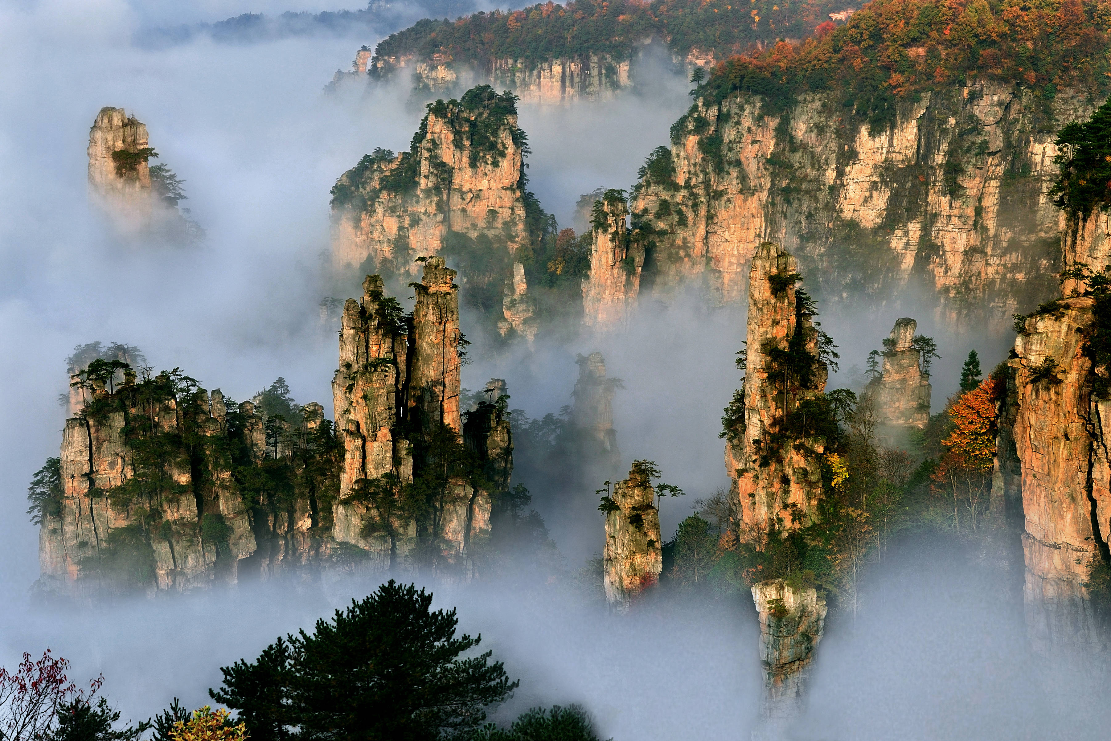 张家界旅游价格